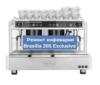 Чистка кофемашины Brasilia 205 Exclusive от кофейных масел в Челябинске